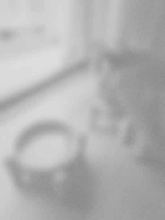 Ceramic Pet Bowl with raised Wooden stand